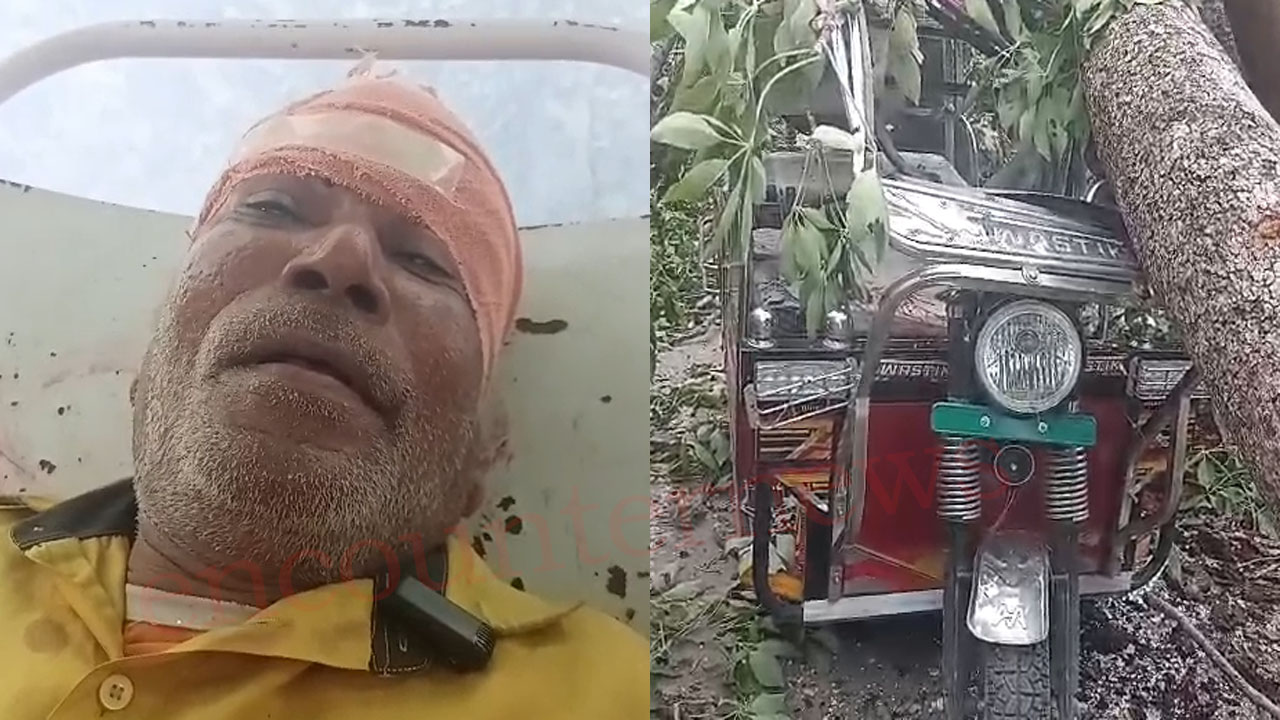 Punjab News: बारादरी गार्डन में पेड़ गिरने से ऑटो चालक घायल, देखें वीडियो