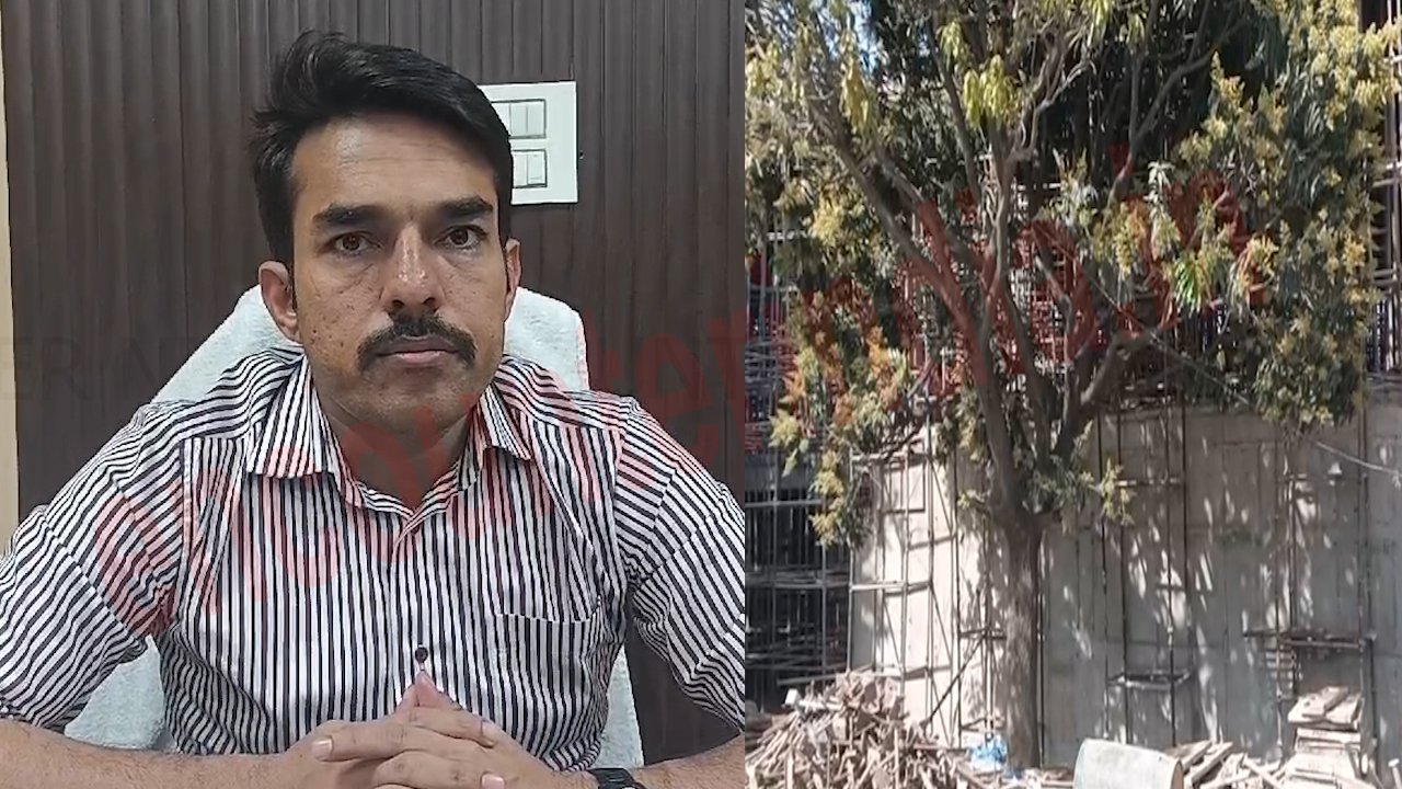 Punjab News: DC के आदेशों की उल्लंघना, काटे हरे भरे पेड़, देखें वीडियो