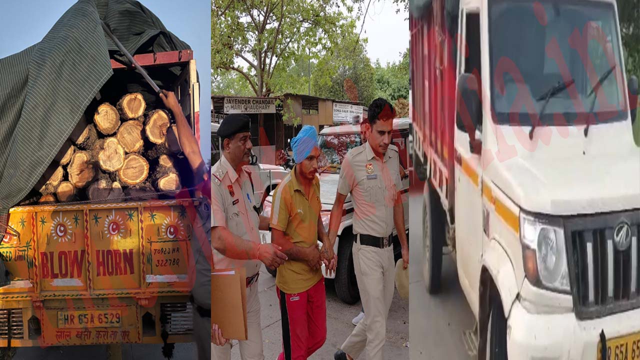Haryana News: पुलिस ने पकड़ी खैर की लकड़ी से भरी पिकअप गाड़ी, देखें वीडियो