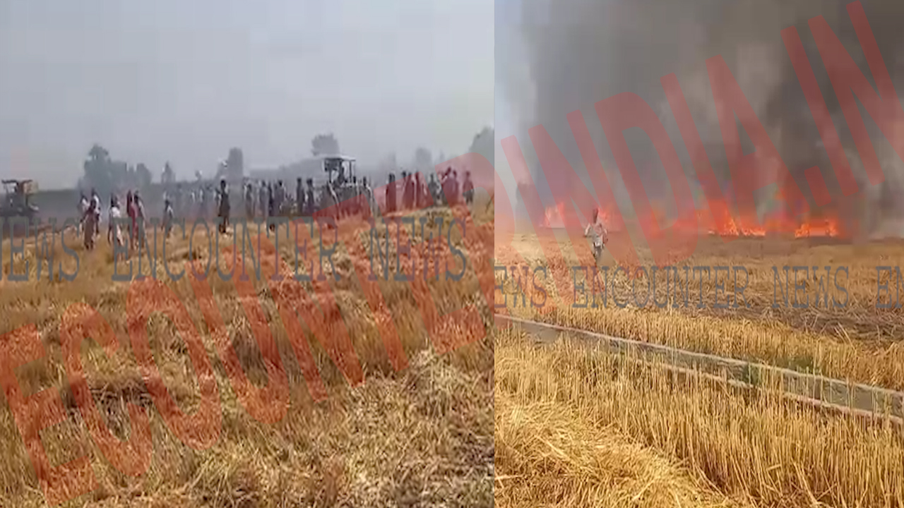 Punjab News: खेत में लगी भीषण आग, गांववासियों ने कड़ी मशक्कत के बाद खुद बुझाई, देखें वीडियो