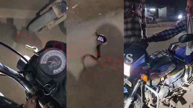 चलती बाइक से निकला सांप, युवक के उड़े होश, देखें Video