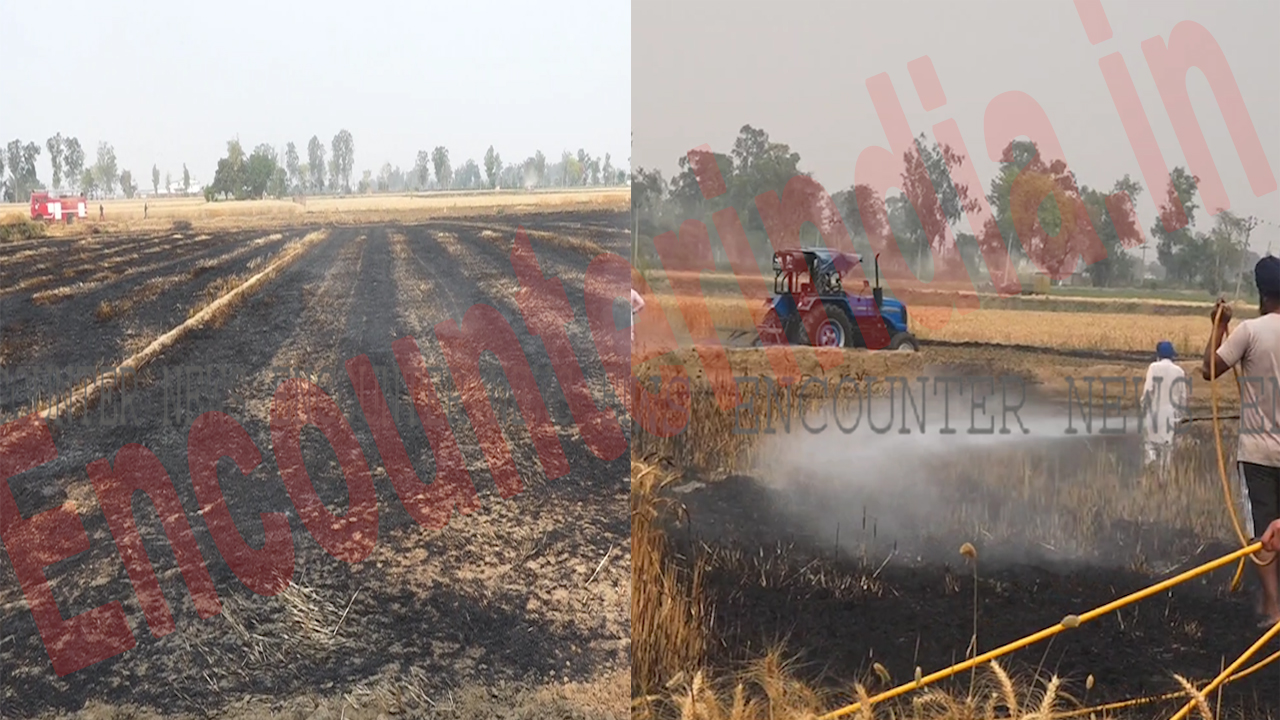 Punjab News: खेत में लगी भीषण आग, 20 बीघा फसल जलकर राख, देखें वीडियो