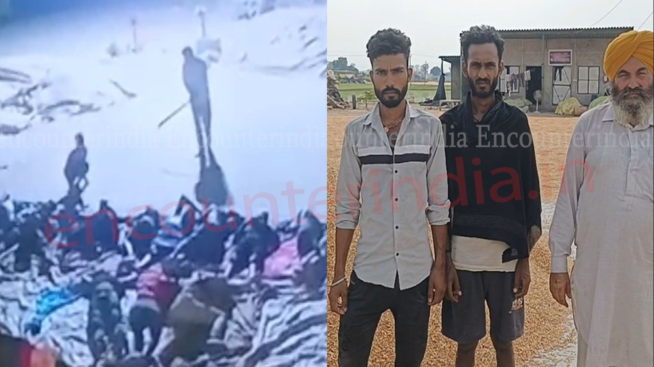 Punjab News: हथियारबंद चोरों का पशु बाड़े पर धावा, मजदूरों का सामान लूटा, देखें CCTV