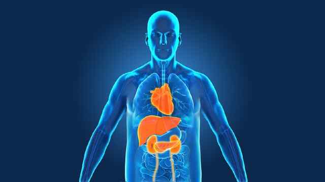 भारत में बढ़ रहा Metabolic Diseases का खतरा, Study में Experts ने किए खुलासे