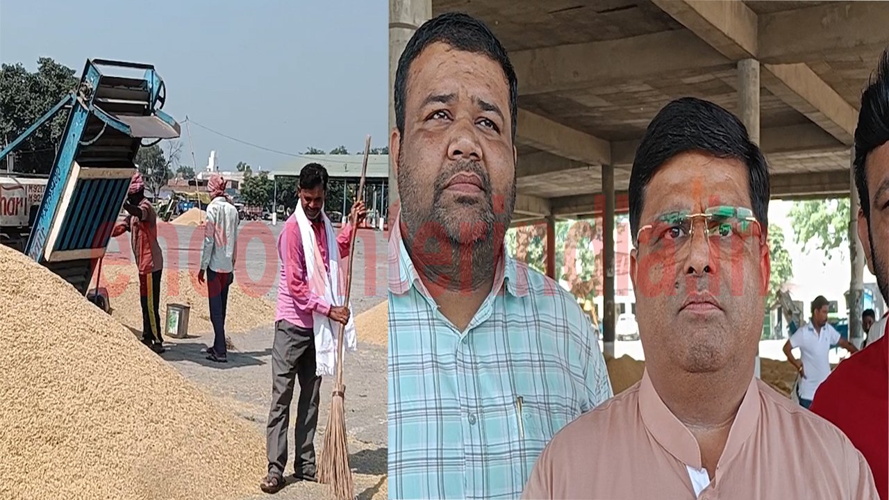 Punjab News : आढ़तियों की खत्म हुई हड़ताल, देखें वीडियो Punjab News : आढ़तियों की खत्म हुई हड़ताल, देखें वीडियो