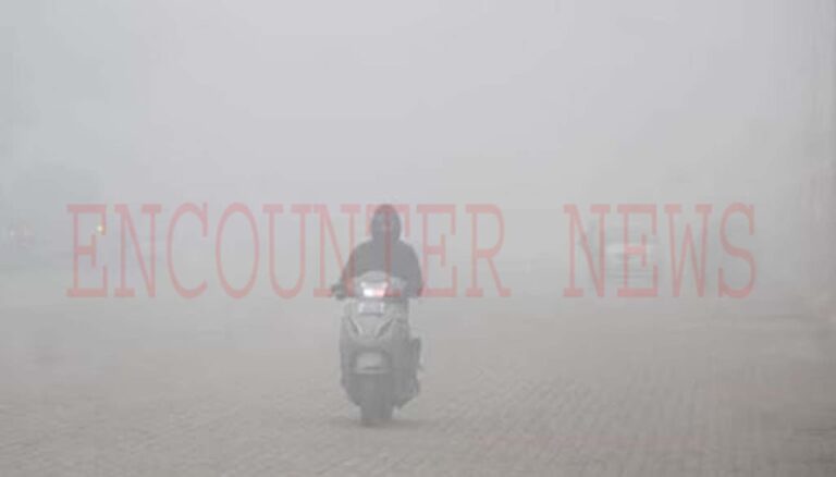 Punjab News: कोहरे का कहर, मौसम विभाग ने Jalandhar सहित इन शहरों को लेकर जारी किया अलर्ट