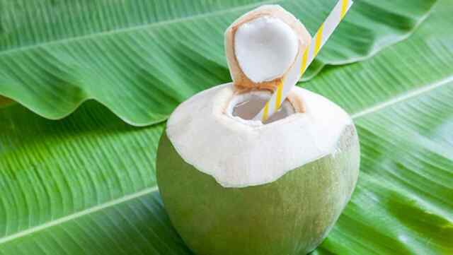 Health Tips: सुबह खाली पेट नारियल पानी पीने के क्या फायदे हैं… जानें Expert की राय