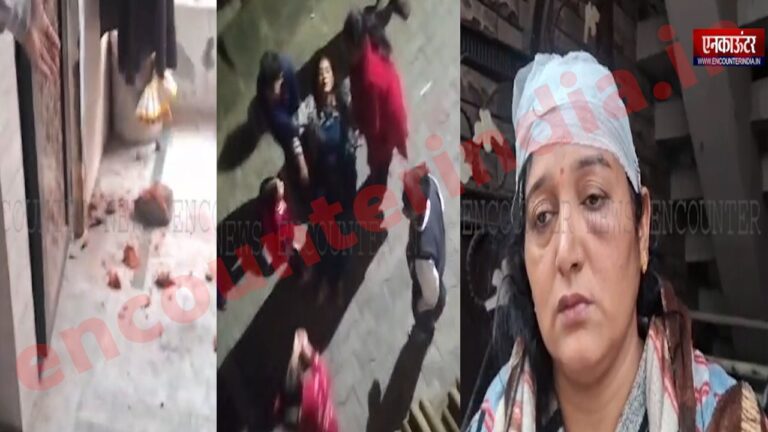 Punjab News: नशेड़ी युवक ने की गुंडागर्दी, घर में बरसाई ईंटे, महिला का फोड़ा सिर, देखें वीडियो