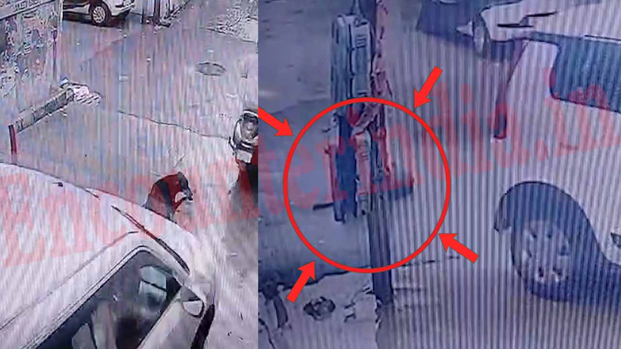 Punjab News: टीचर ने गली में बैठे कुत्ते को कुचला, चालक फरार, देखें वीडियो