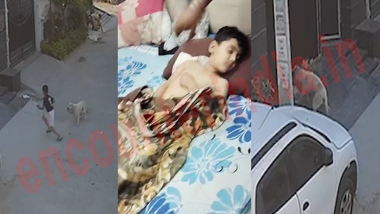 Jalandhar News: आवारा कुत्ते ने बेहरमी से 6 वर्षीय बच्चे को नोचा, देखें दिल दहलाने वाली वीडियो