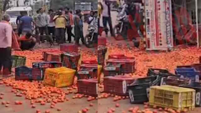 टमाटर से भरी पिकअप पलटी, लोगों में मची अफरा-तफरी, देखें Video