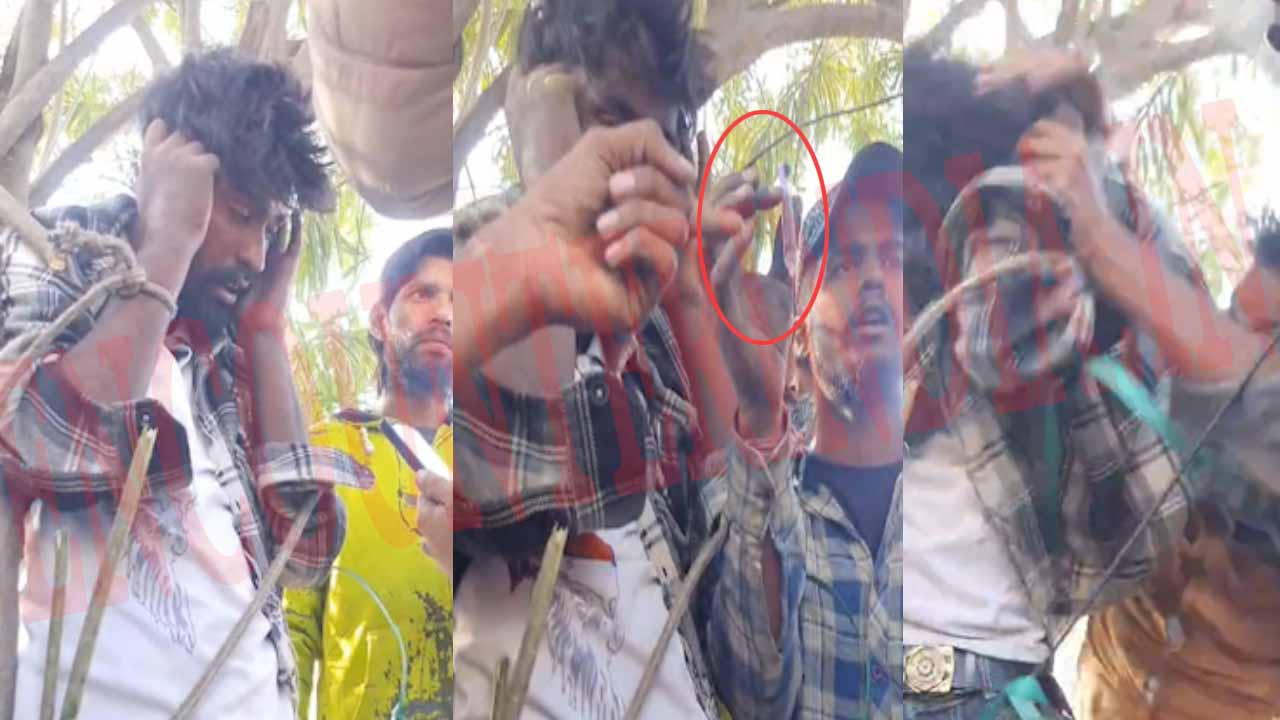 Jalandhar News: सोढल मंदिर के पास लोगों ने पकड़ा चोर, पेड़ से बांधकर की पिटाई, देखें वीडियो