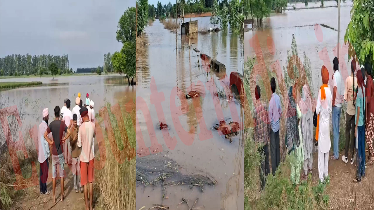 Punjab News: पाकिस्तान से आ रही रावी ने 3 जगहों पर तोड़ा बांध, हुआ भारी नुक्सान, देखें वीडियो
