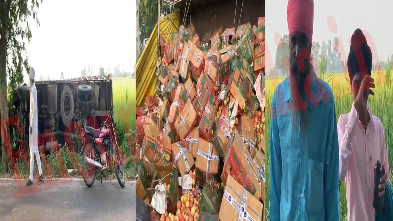 Punjab News: सेबों से भरा ट्रक पलटा, ड्राइवर घायल, देखें वीडियो
