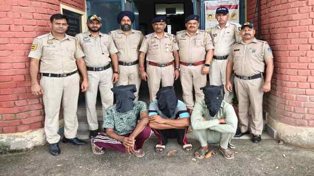 ऊना पुलिस ने सुलझाई भैंस चोरी की गुत्थी, 3 आरोपी गिरफ्तार; दोनों भैंसें बरामद, बोलेरो पिकअप और बाइक जब्त