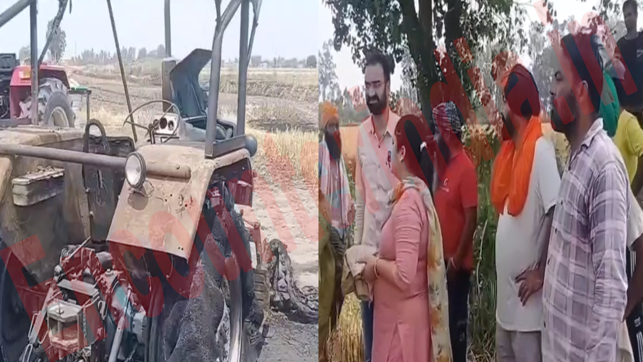 Punjab News: ट्रैक्टर से निकली चिंगार, कुछ मिनटों में 4 बीघा गेहूं जलकर राख, देखें वीडियो