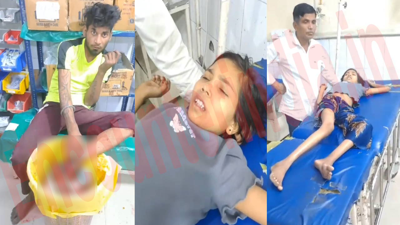 Punjab News: आवारा कुत्तों का आतंक जारी, व्यक्ति सहित बच्ची को किया घायल, देखें वीडियो Punjab News: आवारा कुत्तों का आतंक जारी, व्यक्ति सहित बच्ची को किया घायल, देखें वीडियो