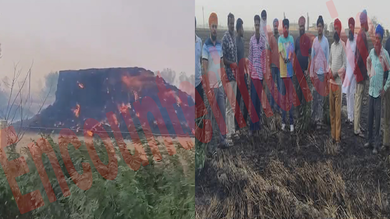 Punjab News: 400 एकड़ में खड़ी किसानों की फसल जलकर राख, देखें वीडियो Punjab News: 400 एकड़ में खड़ी किसानों की फसल जलकर राख, देखें वीडियो