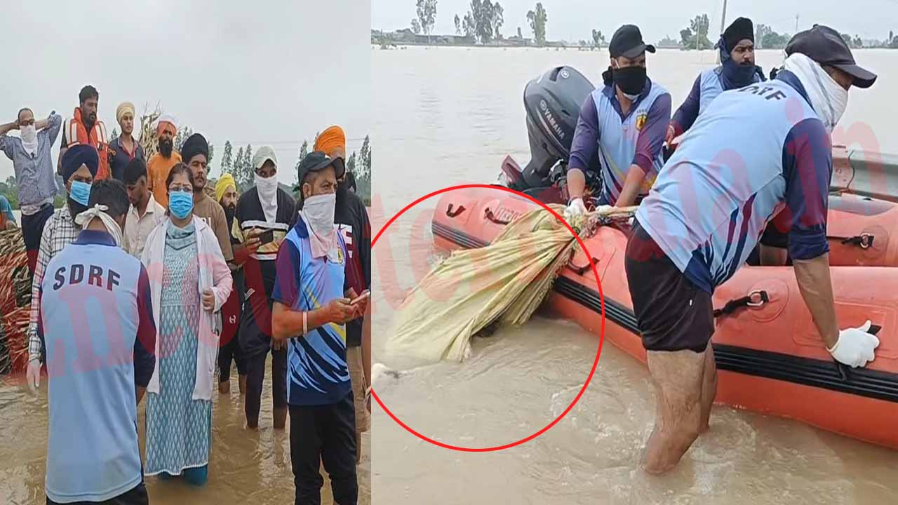 Punjab News: बाढ़ प्रभावित क्षेत्र से मिली व्यक्ति की लाश, देखें वीडियो