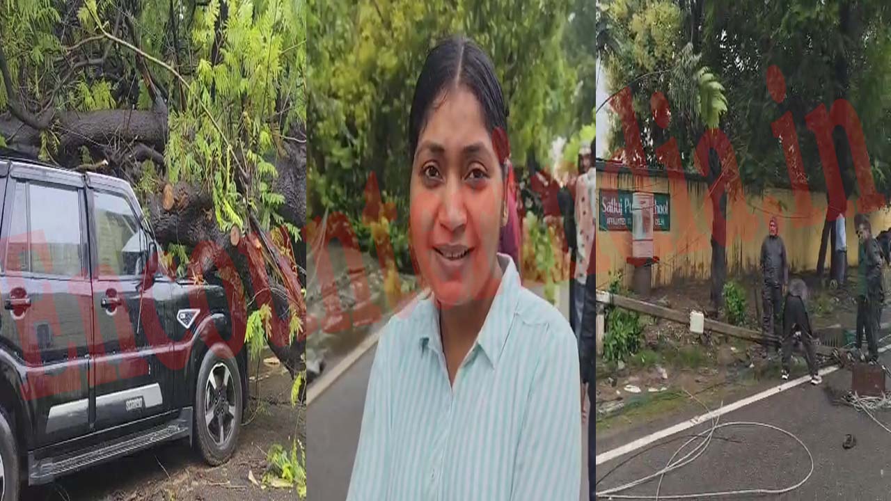 Haryana News: सतलुज पब्लिक स्कूल में गाड़ी पर गिरा विशाल पेड़, 5 बच्चे घायल, देखें वीडियो