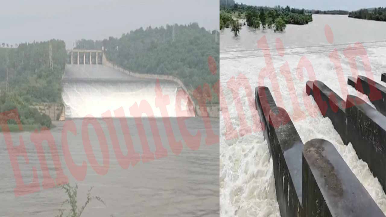 Punjab News: पौंग बांध के जलस्तर को लेकर आई नई अपडेट, देखें वीडियो