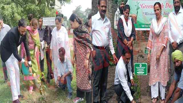 Jalandhar News: मिशन एक जज एक पौधा के तहत किया पौधारोपण, देखभाल की भी ली जिम्मेदारी, देखें वीडियो