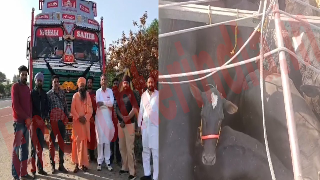 Punjab News: नहीं रूक रही गौं तस्करी, भरा ट्रक पकड़ा, 7 पर मामला दर्ज, देखें वीडियो