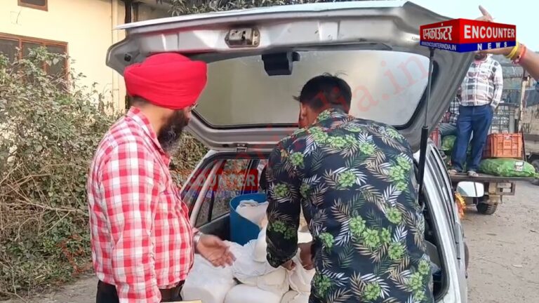 Punjab News : फूड सेफ्टी विभाग एक्शन में, पनीर के भरे सैंपल, देखें वीडियो