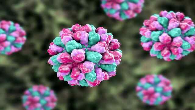 Carrabian Princess Cruise पर फैला Norovirus, जानें इस Virus के लक्षण