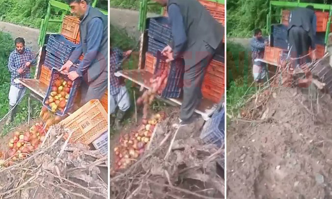 बागबानों का फूटा गुस्सा, नाले में फेंके सेब
