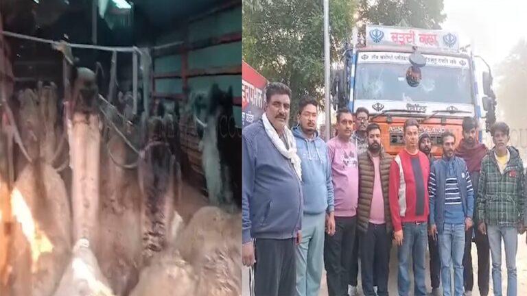 Punjab News: ITI चौक के पास ऊंटों से भरा ट्रक काबू, लोगों में रोष, देखें वीडियो
