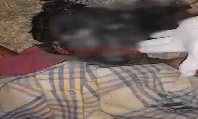 Punjab News: हाईवे पर सड़क हादसे में नौजवान की मौत