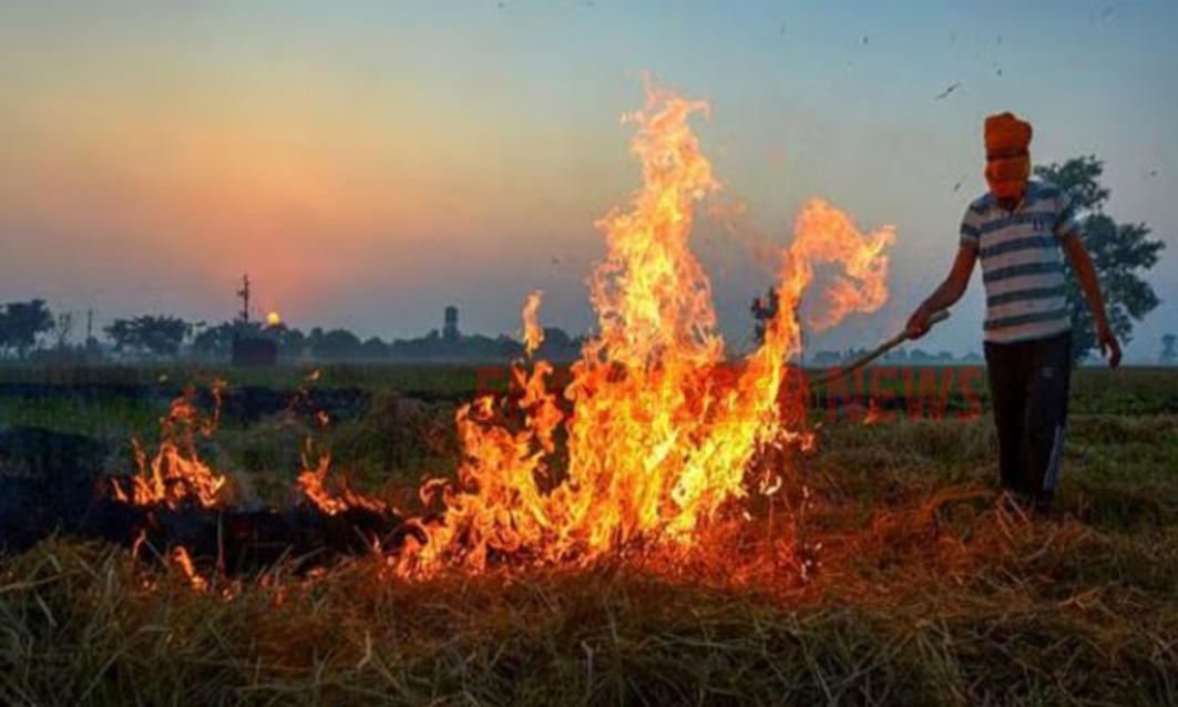 Punjab News: एक दिन में पराली जलाने के 147 नए मामले आए सामने