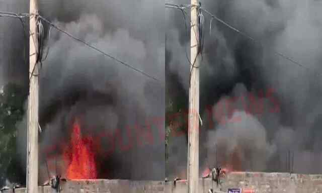Jalandhar News: इस इलाके में लगी भीषण आग, आसमान में छाया धुएं का गुब्बार