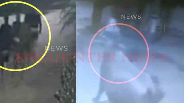 Jalandhar News: थाने से कुछ दूरी से भैंसें चुराकर चोर फरार, देखें वीडियो