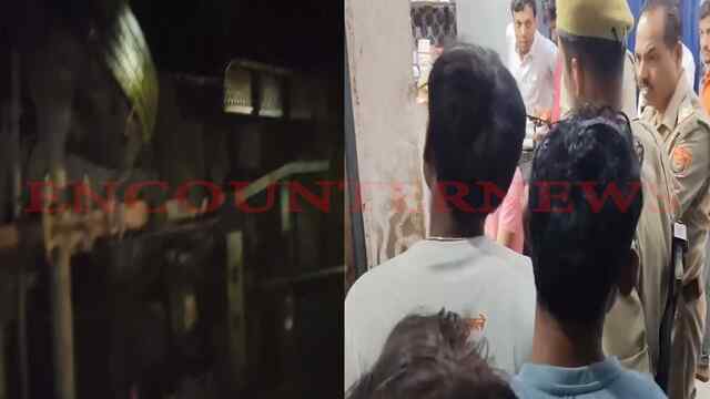 सवारियों से भरी पिकअप गाड़ी खाई में पलटी, दर्जन लोग घायल, 3 की हालत गंभीर, देखें वीडियो