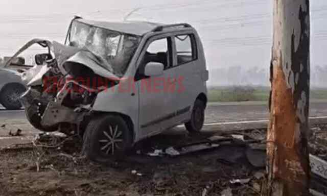 आवारा पशु के कारण हुआ सड़क हादसा, परिवार के 3 लोगों की मौत