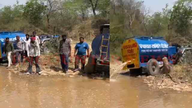 Haryana News: भीषण गर्मी में युवाओं ने वन्य जीवों की मदद के लिए उठाया सराहनीय कदम, देखें वीडियो