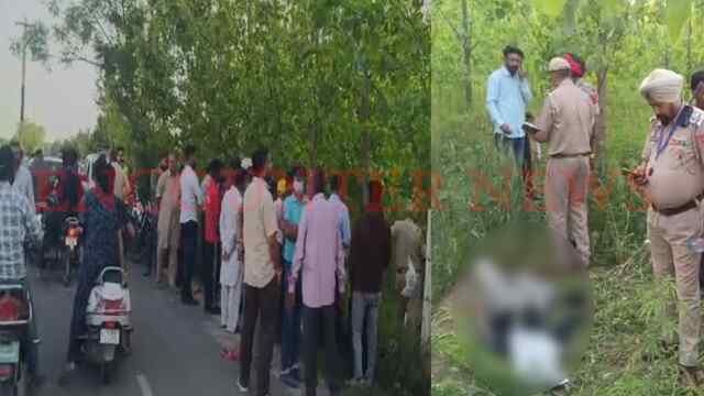 Jalandhar News: इस इलाके से शव बरामद, लोगों में दहशत, देखें वीडियो