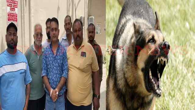 Jalandhar News: कुत्तों को लेकर आए Supreme Court के आदेशों का जनता ने किया स्वागत, देखें वीडियो