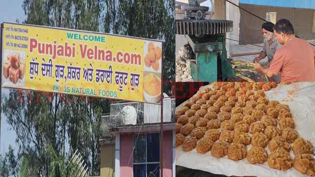 Punjab News: Structural Engineer ने 2 दोस्तों संग मिलकर बनाया गुड़ का ब्रांड, देश-विदेश में कर रहे व्यापार, देखें वीडियो