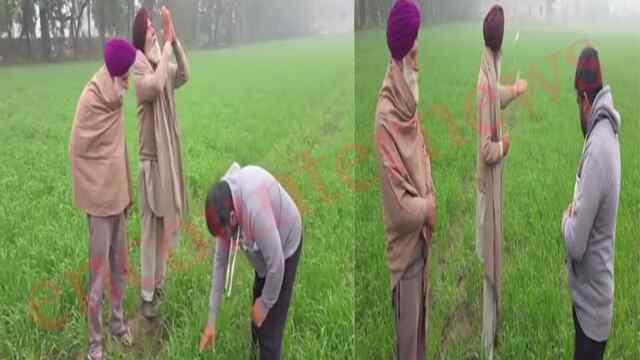 Punjab News: बारिश के बाद फसलों में बढ़ी हरियाली, किसानों के खिले चेहरे, देखें वीडियो