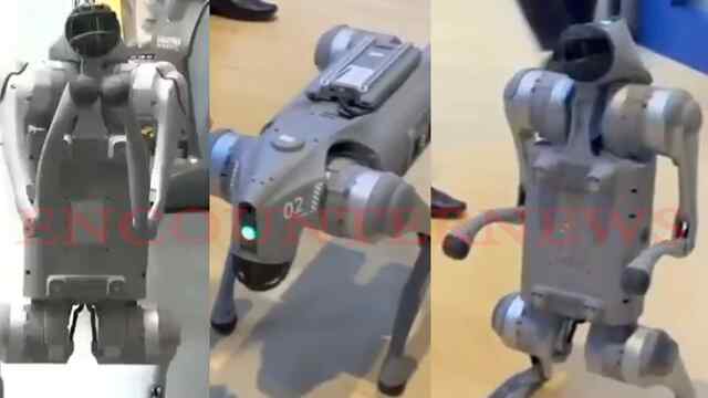 Chinese Robot के कारण हुई भारत की बेइज्जती, सरकार ने लगाई Galgotia University को फटकार