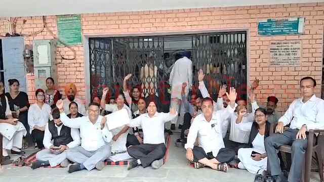 Punjab News: LADC पॉलिसी के विरोध में वकीलों ने की 2 दिन की हड़ताल, देखें वीडियो
