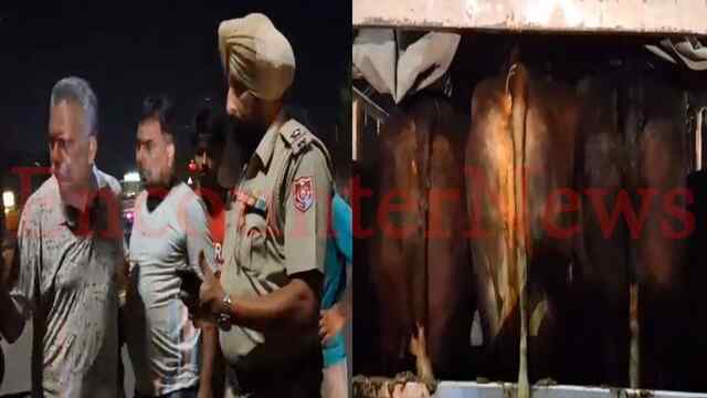 Punjab News: शुगर मिल चौक के पास गाड़ी से गाय बरामद, हुआ हंगामा, तस्करी की आंशका, देखें वीडियो
