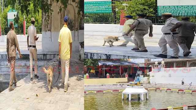 Railway Tracks, Mayor Office और 2 प्रमुख मंदिरों में IED धमाके करने की धमकी, अलर्ट मोड पर सुरक्षा एजेंसी, देखें वीडियो