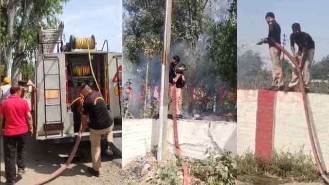 Jalandhar News: फाटक के पास झाड़ियों और पेड़ों में लगी आग, देखें वीडियो