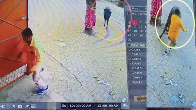 आवारा सांड का कहर, व्यक्ति पर किया हमला, गंभीर घायल, देखें वीडियो