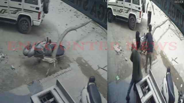 Panchkula News: बड़ा हादसा टला, खड़ी एक्टिवा पर गिरा पेड़ का तना, देखें वीडियो