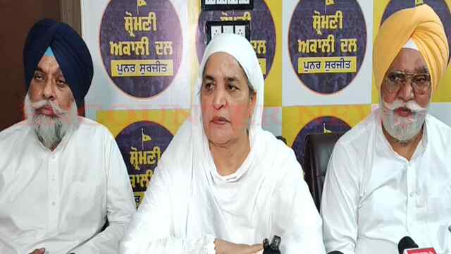 Punjab News: गठबंधन को लेकर बीबी जागीर कौर का बयान, देखें वीडियो
